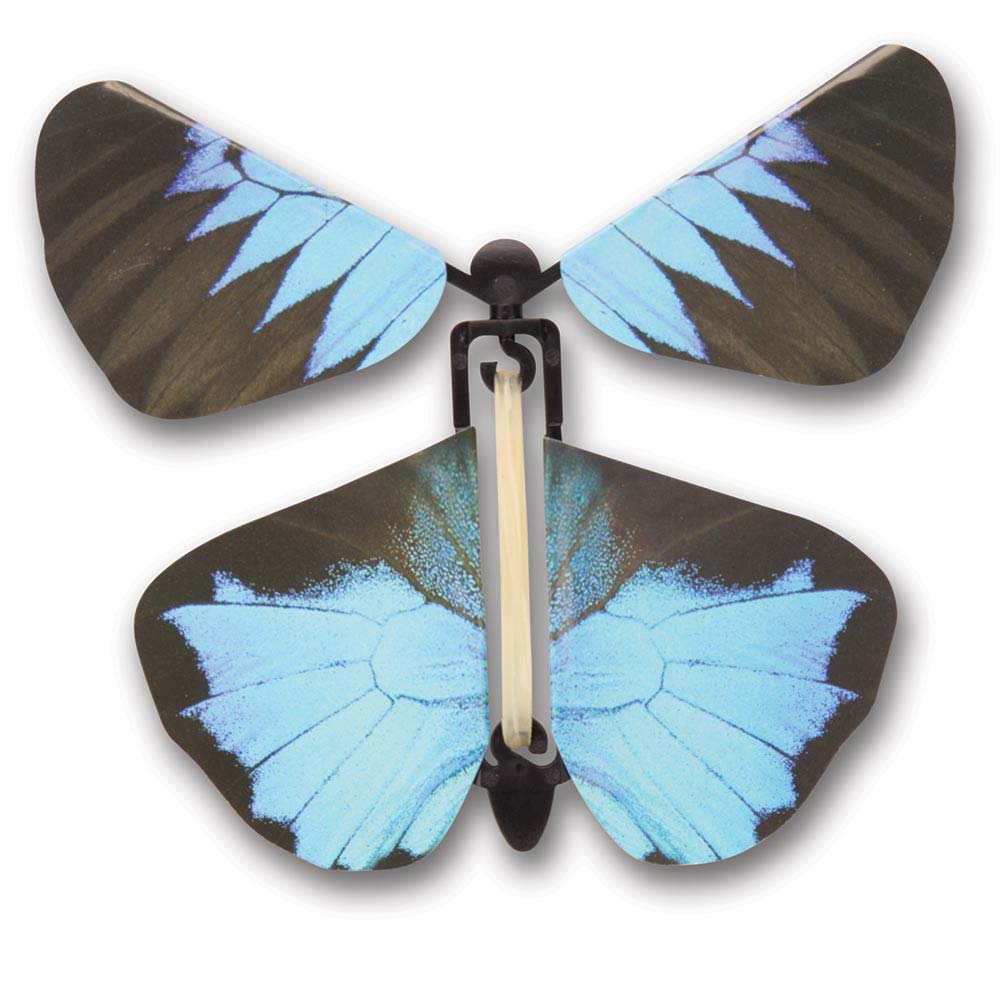 Flying Butterfly , Flight: Educational Innovations, Inc.
