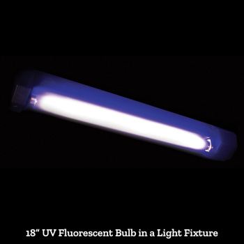 18 inch UV Fluorescent "Black" Light Bulb