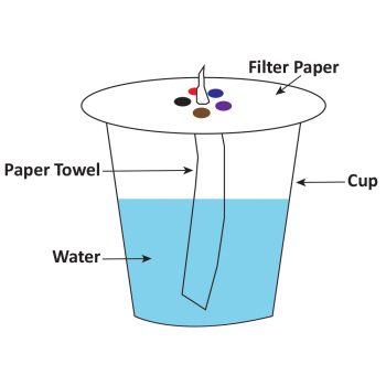 Chromatography Filter Paper