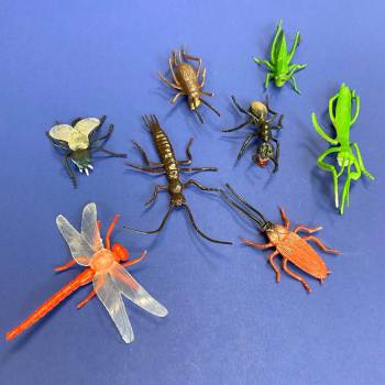 Surprising Science for Kids: Interesting Insects