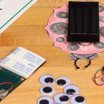 Solar Bugs Class Kit