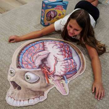 Doctor Livingston Jr. Human Brain Puzzle for Kids