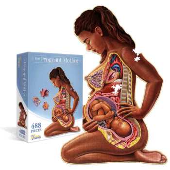 The Pregnant Mother Puzzle